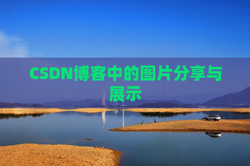 CSDN博客中的图片分享与展示